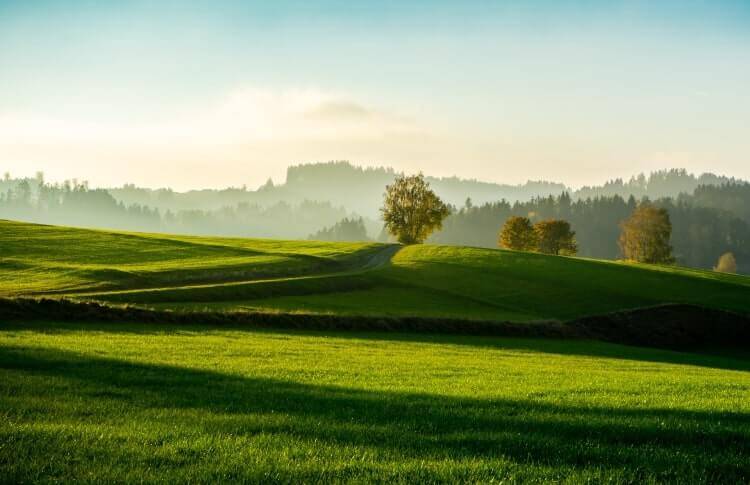 Landschaft mit grüner Wiese