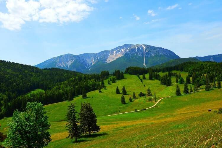 Landschaft mit grüner Wiese